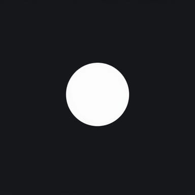 Look For The Meaning Of The Following Words Exuberance