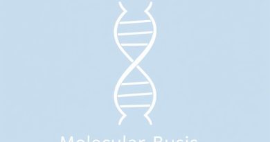 Molecular Basis Of Inheritance Handwritten Notes