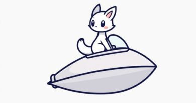 Neopets Aboard The Coincidence