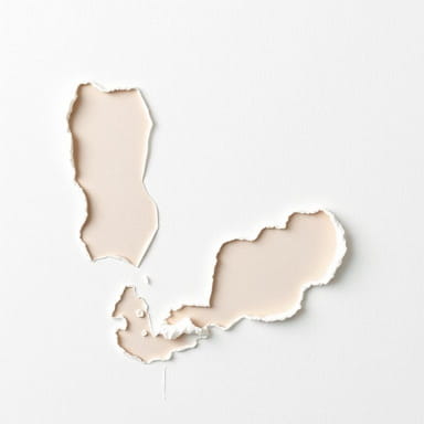 No Spackle Drywall Patch