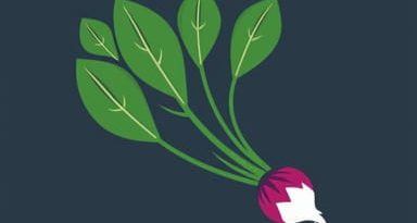 Nutritional Value Of Turnip Greens