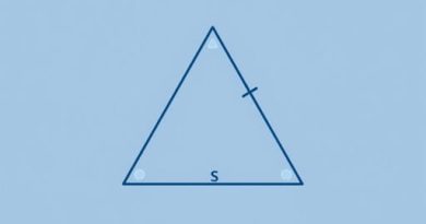 Objective Questions On Trigonometry Class 10