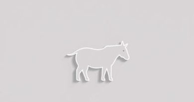 On The Hind Side Meaning