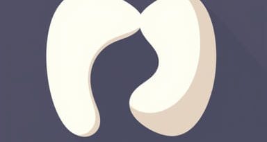 Peritoneum And Peritoneal Cavity