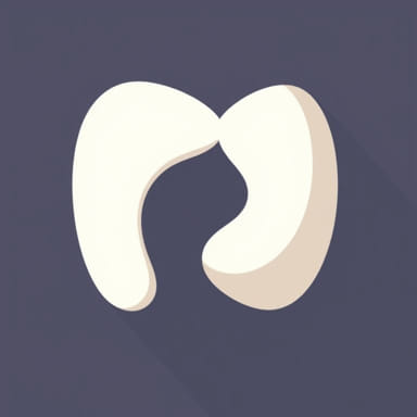 Peritoneum And Peritoneal Cavity