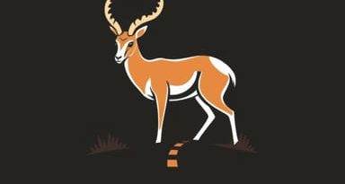 Pronghorn Road X Test