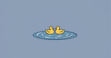 Puddle Ducks Rouse Hill