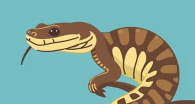 Reticulated Python Taronga Zoo