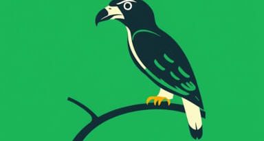 Sharp Shinned Hawk Call