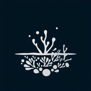 Silver Kelp Coral Island