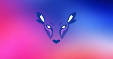 The Middle Cranial Fossa