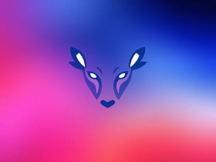 The Middle Cranial Fossa