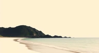 The Sandbank Papamoa Photos