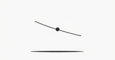 What Is The Meaning Of Obliquity