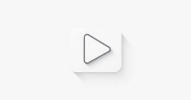 What Is The Meaning Of Playable