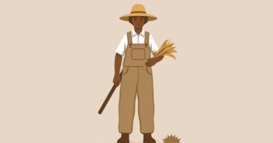 What Was Possible For A Sharecropper Who Made
