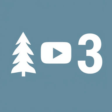 Youtube Bonanza Season 3