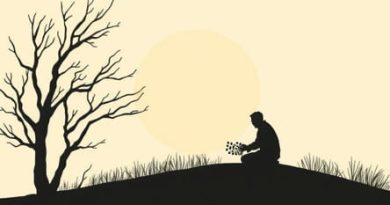 An Essay Of Dramatic Poesy Pdf