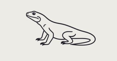 Are Komodo Dragons Cannibalistic