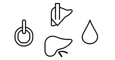 Causes Of Low Globulin