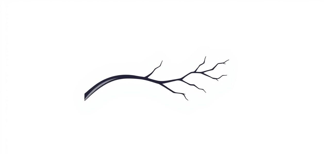 Deep Branch Of Ulnar Nerve