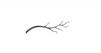 Deep Branch Of Ulnar Nerve