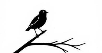 Definition Of "Entailment" In *To Kill A Mockingbird*