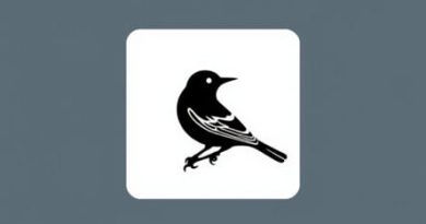 Denunciation Definition To Kill A Mockingbird