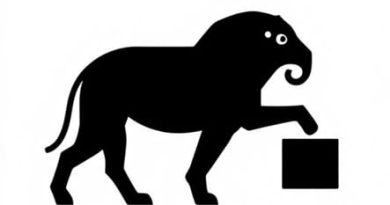 Difference Between Platoon And Company