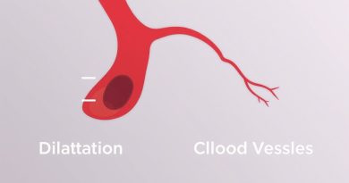 Dilation And Constriction Of Blood Vessels