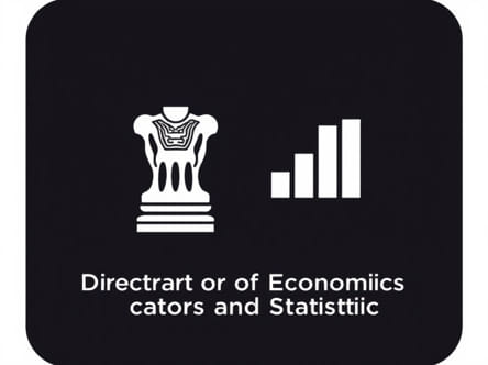 Director Of Directorate Of Economics And Statistics Rajasthan