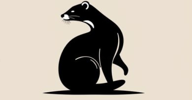 Does A Polecat Stink