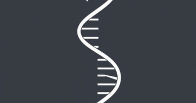 Does Dna Contain Adenine