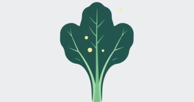 Does Kale Cross Pollinate