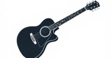Epiphone Hummingbird 12 String