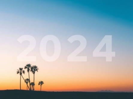 Florida Talented Twenty Program 2024