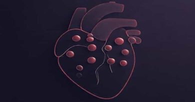 5 Letter Word For Genteel