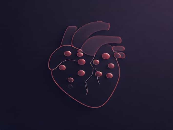 5 Letter Word For Genteel