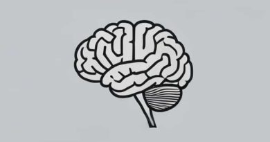 A Brain Is Responsible For