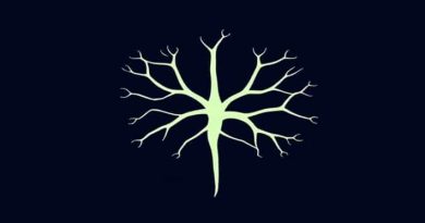 Airport Meet And Greet Manchester