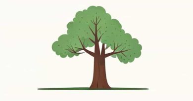 American Chestnut Trees For Sale