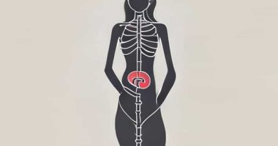 Anatomy Of Ureter In Female
