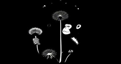 Arctic Monkeys Dandelion And Burdock