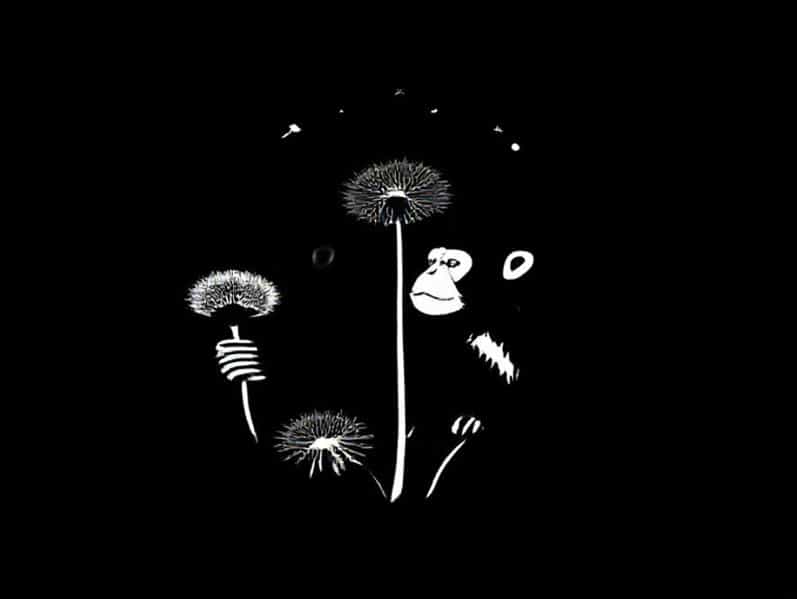 Arctic Monkeys Dandelion And Burdock