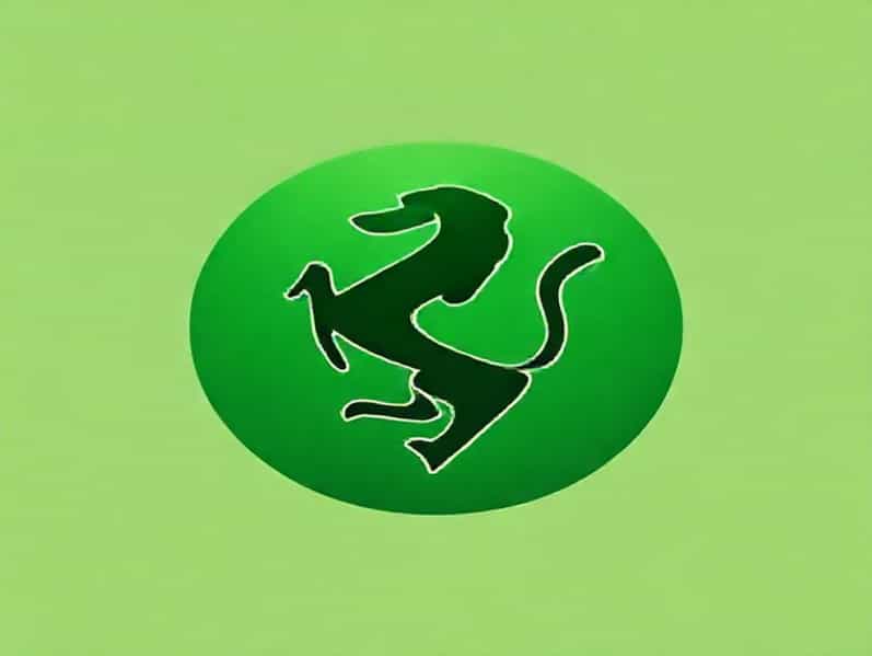 Beijing Guoan Qingdao Hainiu Fc