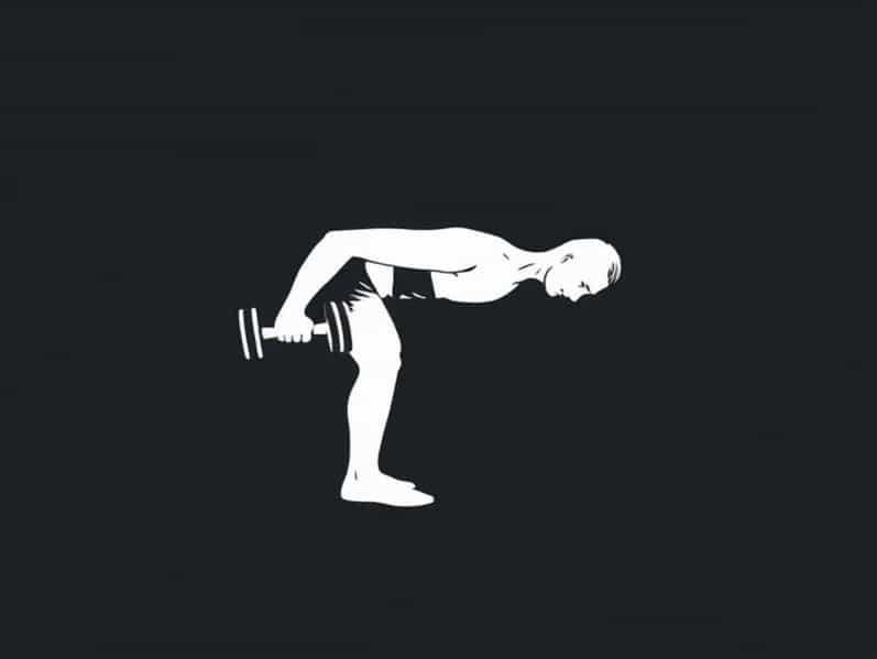 Bent Over Dumbbell Lateral Raise