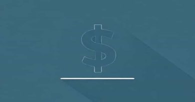 Budget Deficit Expansionary Fiscal Policy