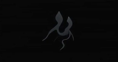 Camon 30 Basaltic Dark Colour