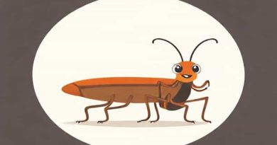 Cartoon Oggy And The Cockroach