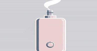 Classic Fanned Flue Gas Boiler